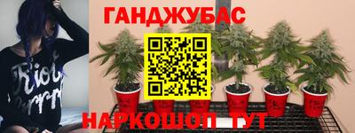 Альфа ПВП Пыть-Ях