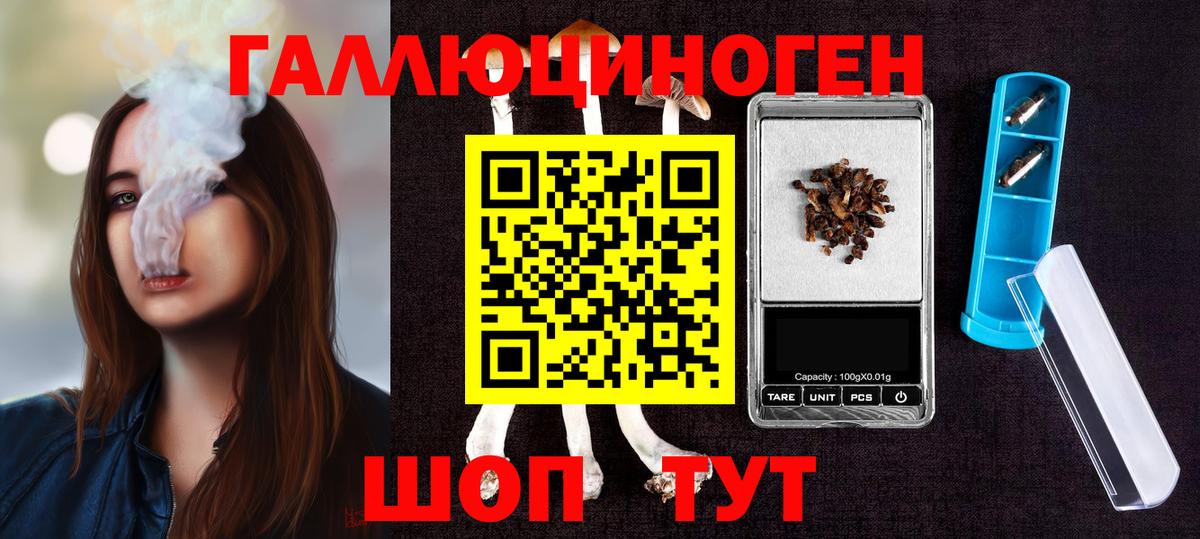 Псилоцибиновые грибы Psilocybe Орехово-Зуево