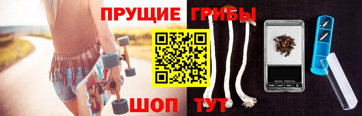 Галлюциногенные грибы Psilocybine cubensis  купить   Орехово-Зуево  Вход с VPN  Галлюциногенные грибы GOLDEN TEACHER 
